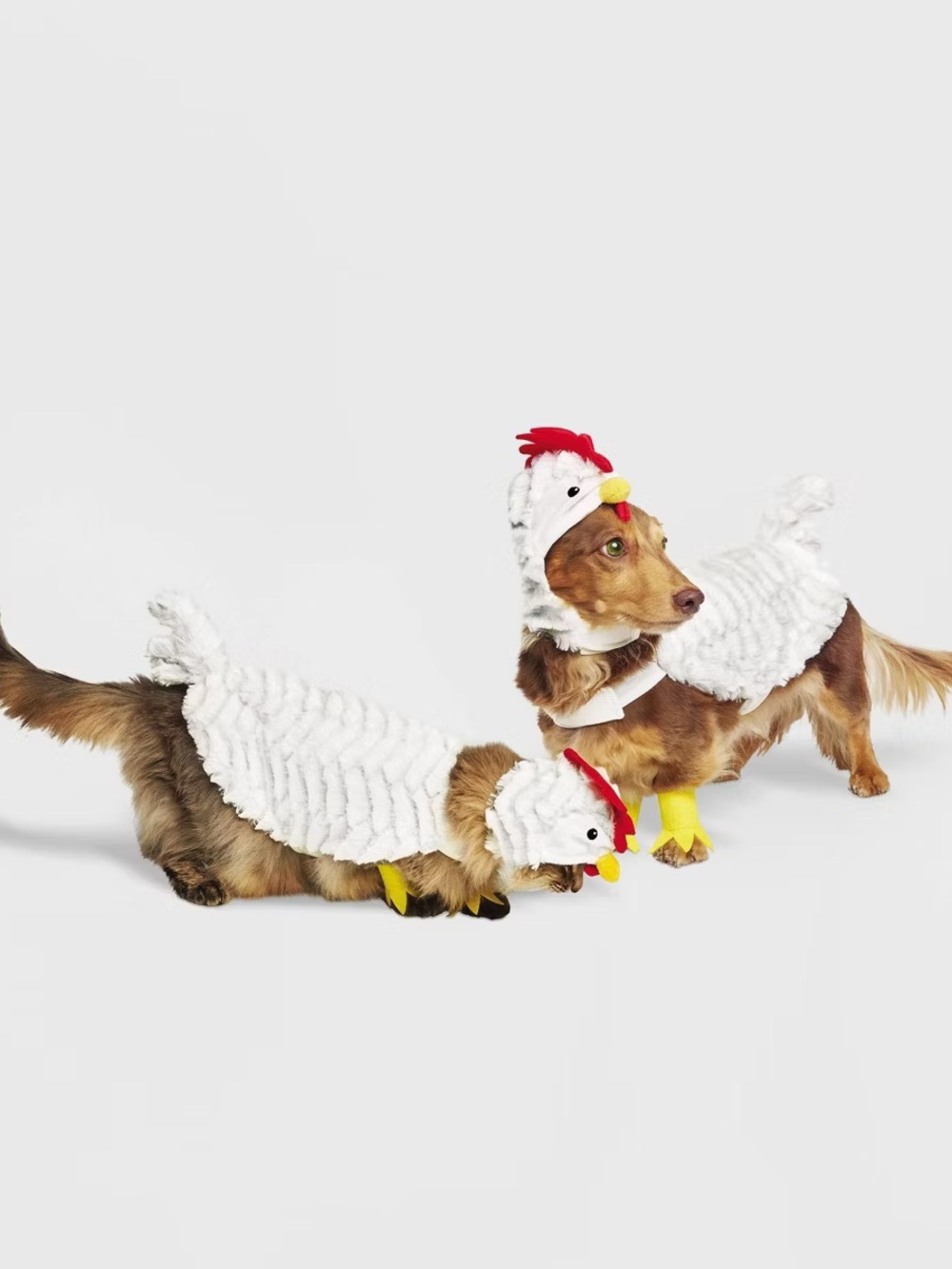 Boots & Barkley White Chicken Dog Costume with Red Comb and Yellow Feet